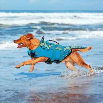 Queenmore Mermaid Dog Life Jacket, Dog Life Vest for Swimming, Blue, XS