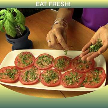 Indoor Herb Garden - Rustic Planters Starter Kit - Kitchen Delight