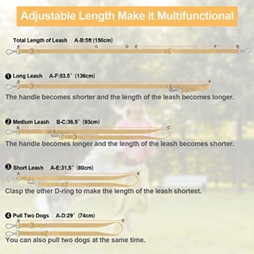 Adjustable Waterproof Dog Leash for Medium Large Dogs