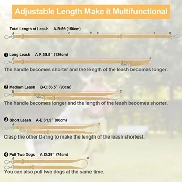 Adjustable Waterproof Dog Leash for Medium Large Dogs