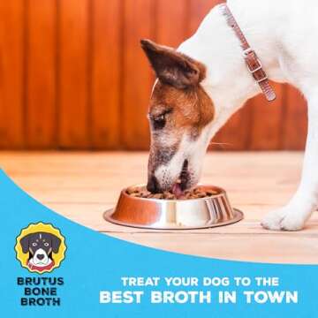 Brutus Beef Bone Broth for Dogs and Cats - All Natural Dog Bone Broth with Chondroitin Glucosamine & Turmeric -Human Grade Dog Food Toppers for Picky Eaters & Dry Food -Tasty & Nutritious- Pack of 2