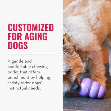 KONG Senior - Dog Toy with Gentle, Natural Rubber - Durable Dog Toy for Older Dogs - Use Treats with...