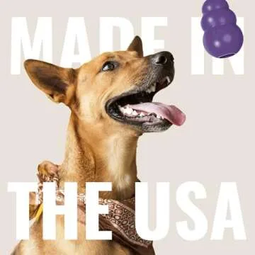 KONG Senior - Dog Toy with Gentle, Natural Rubber - Durable Dog Toy for Older Dogs - Use Treats with Stuffable Chew Toy - Treat Toy for Chewing & Fetching - for Small Dogs