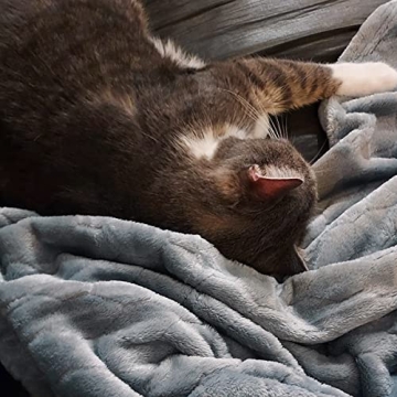 TOONOW Fleece Blanket Super Soft Cozy Throw for All Seasons