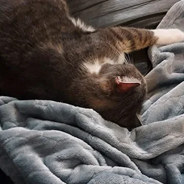 TOONOW Fleece Blanket Super Soft Cozy Throw for All Seasons