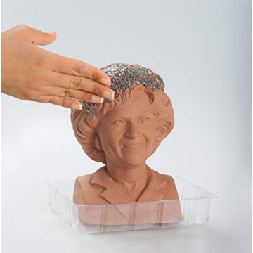 Chia Pet Golden Girls - Rose Planter for Fun Gardening