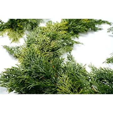 CraftMore Cedar Garland 6' - Elegant Holiday Decor