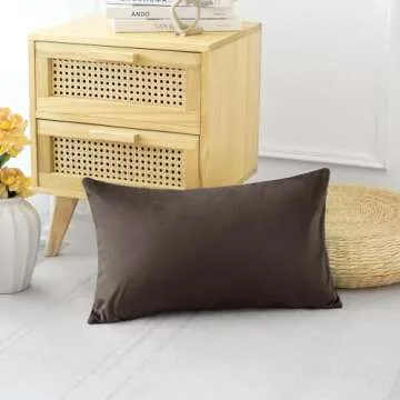 Artscope Luxury Velvet Pillow Covers Decorative Rectangle Pillowcases Soft Solid Cushion Cases for Couch Sofa Bedroom Car Decor 12x20 Inch Chocolate Brown