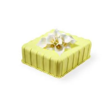 Wilton Gum Paste Storage Board for Perfect Cake Designs
