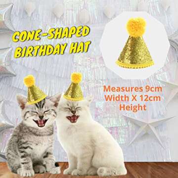 Primo Lines PetCakes Cat Organic Birthday Cake Kit Turkey Flavor Cat Treats 5oz & Happy Birthday Hat Gold Cone Yellow Balls Cat Costume Pet Party Supplies