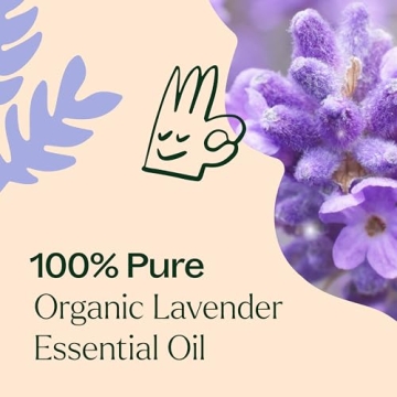 Plant Therapy Lavender Oil 100% Pure Organic Essential Oil