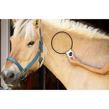 Assisi Loop 2.0 Manual | Size: 20 cm