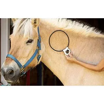 Assisi Loop 2.0 Manual | Size: 20 cm