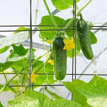 Durable Cucumber Trellis for Climbing Plants - 2 Packs