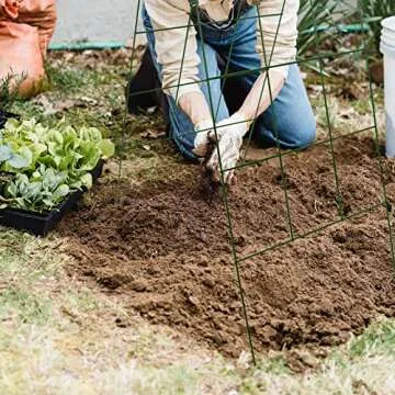 Durable Cucumber Trellis for Climbing Plants - 2 Packs