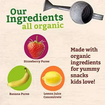Pumpkin Tree Organics Strawberry Banana Pure Fruit Snacks