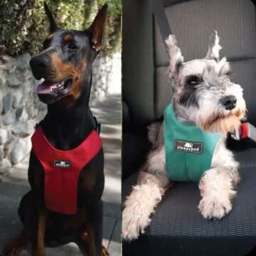 Sleepypod ClickIt Sport Crash-Tested Car Safety Dog Harness (Small, Orange Dream)