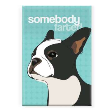 Pop Doggie Somebody Farted Boston Terrier Fridge Magnet