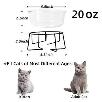 Glass Raised Cat or Small Dog Dishes for Better Eating