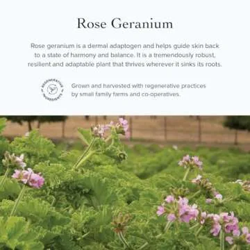 evanhealy Rose Geranium HydroSoul | Copper Distilled Hydrosol | Gentle, Astringent Organic Facial Tonic | Balancing Face Toner for Dry, Oily, Combination, Teen Skin