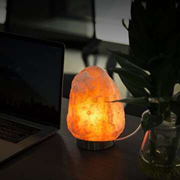 Levoit Elora Salt Lamp with Touch Dimmer & Extra Bulbs