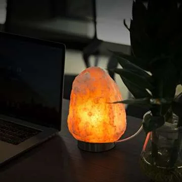 Levoit Elora Salt Lamp with Touch Dimmer & Extra Bulbs