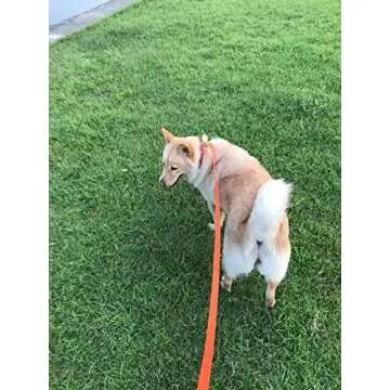 AMAGOOD 15ft Long Dog Leash for Training and Outdoor Play