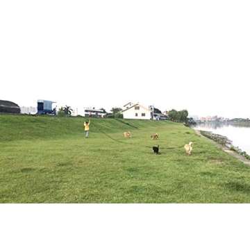 AMAGOOD 15ft Long Dog Leash for Training and Outdoor Play