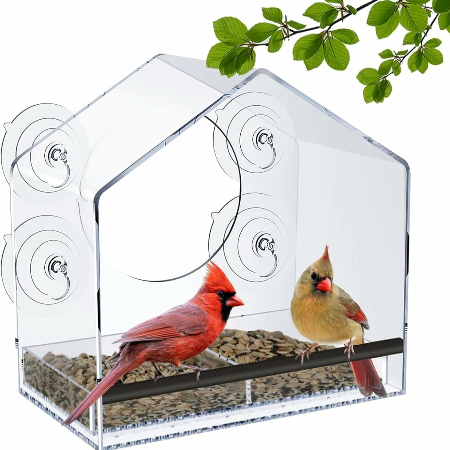 Clear Acrylic Window Bird Feeder with Suction Cups