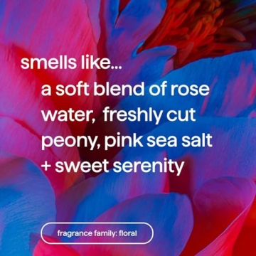 Method Body Lotion Pure Peace, 24 Hours of Moisture 14 oz