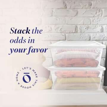 HOMZ 2-Pack Snaplock, Large Clear Plastic Storage Bins with Lids, 41 Quart, White