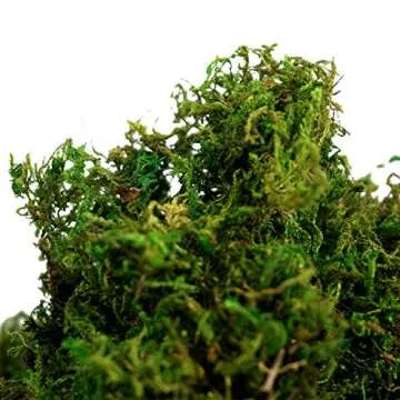 BYHER Artificial Moss Fake Green Grass for Centerpieces Home Kitchen Garden Decor (8OZ, Fresh)