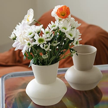 Stylish Wide Mouth Ceramic Flower Vase for Your Home