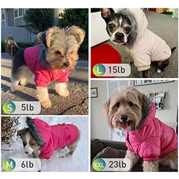 Warm and Stylish LESYPET Dog Coat for Small Dogs