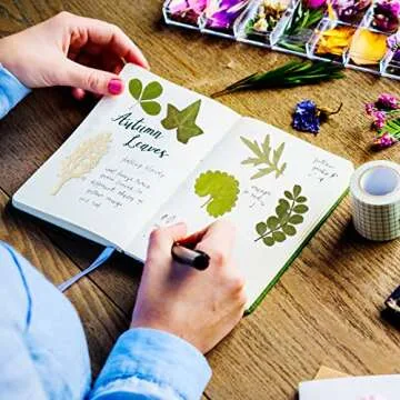 Timtin 84 Pieces Dried Pressed Leaves Flowers for Resin Mini Dried Flowers for Crafts Greenery Assorted for Art DIY Handmade Bookmarks 4 Bags(Vivid Style)