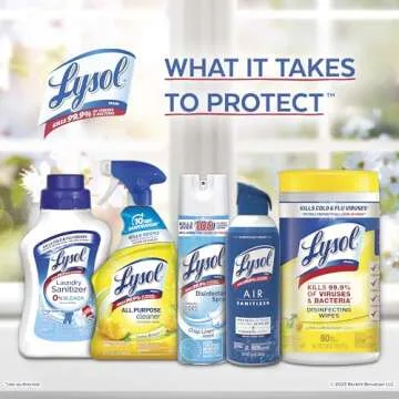 Lysol Dual Action Disinfecting Wipes - 75ct Pack of 4