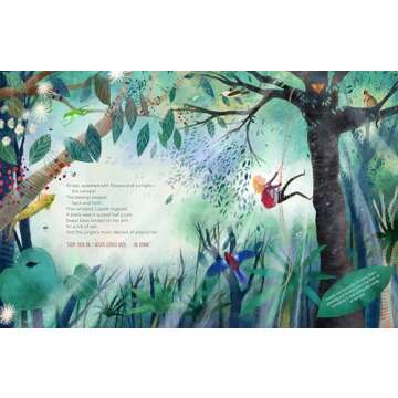 The Leaf Detective: How Margaret Lowman Uncovered Secrets in the Rainforest