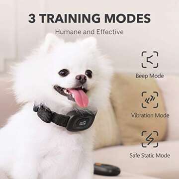 DOG CARE Dog Training Collar with Remote - Rechargeable Training Collar for Small Medium Large Dogs with Beep, Vibration, and Shock Training Modes, Rainproof E-Collar with Security Lock