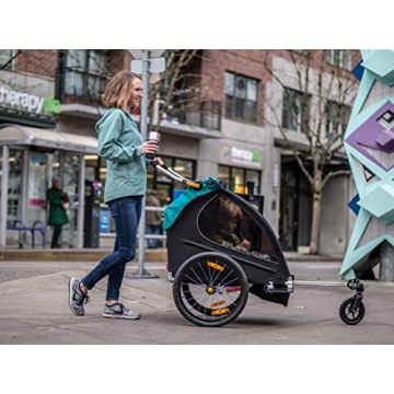 Burley Encore X 2 Seat Kids Bike Trailer & Stroller