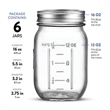 Paksh Novelty Mason Jars 16 oz - 6-Pack Airtight Containers