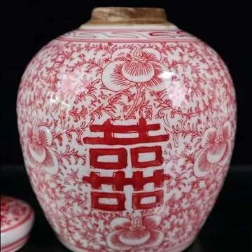 Elegant Storage Jar Ginger Jar for Home Decor