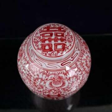 Elegant Storage Jar Ginger Jar for Home Decor