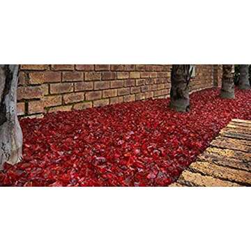 Margo 10 lb. 1/4" Red Fire Glass for Fire Pit