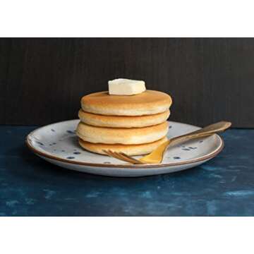 Nordic Ware Silver 01940 Scandinavian Dollar Pancake Pan 17.5 x 10.2 x 2.5