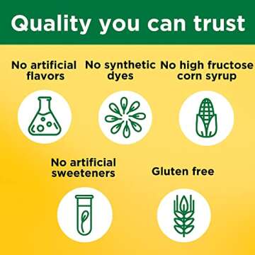 Nature Made Iron 18 mg per serving with Vitamin C, Dietary Supplement for Red Blood Cell Support, 60 Gummies, 30 Day Supply