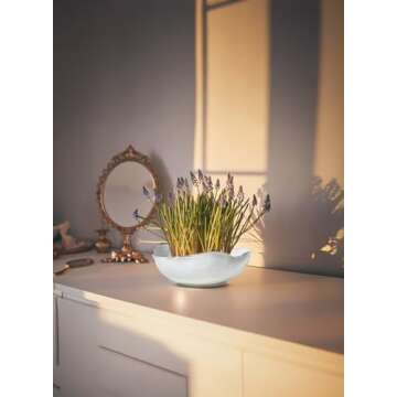 Serene Spaces Living Extra Large Free-Form Edge Glazed Ceramic Bowl – Stylish Fruit Bowl, Dinnerware, and Decorative Centerpiece for Vintage Weddings and Events, 10.5" Long, 8" Wide and 3.5" Tall