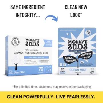 Molly’s Suds Laundry Detergent Sheets | Gentle on Sensitive Skin, Powerful Bio-Based Enzymes, Stain-Fighting | Liquidless & Plastic-Free Packaging | 120 Loads (Ocean Mist)
