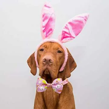 Easter Day Dog Collar with Bow Tie, Holiday Bunny Carrot Collar for Small Medium Large Dogs (Hoppy Hour/Pink, Large)