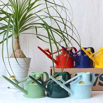 Mini Watering Can for Indoor Plants - Bosmere Haws Handy
