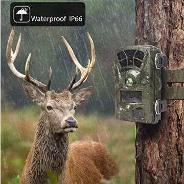 Ctronics Trail Camera 4K 20MP - WiFi Wildlife Monitoring